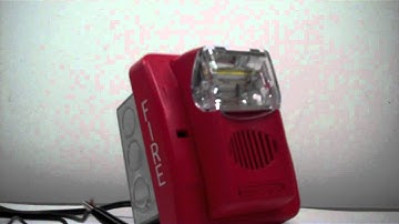 Gentex GEC3-24WR (Commander 3)-Chime Continuous