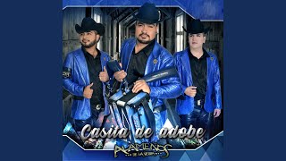 Video thumbnail of "Alameños de la Sierra - Tu De Que Vas"