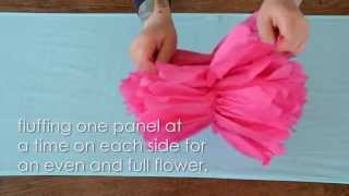 How To Assemble Tissue Paper Flower Pom Poms