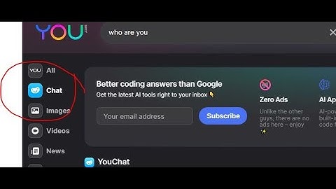 YouChat new ai can help you in your code
