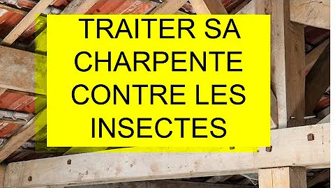 Quand traiter sa charpente ?