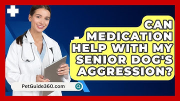 Can Medication Help With My Senior Dog