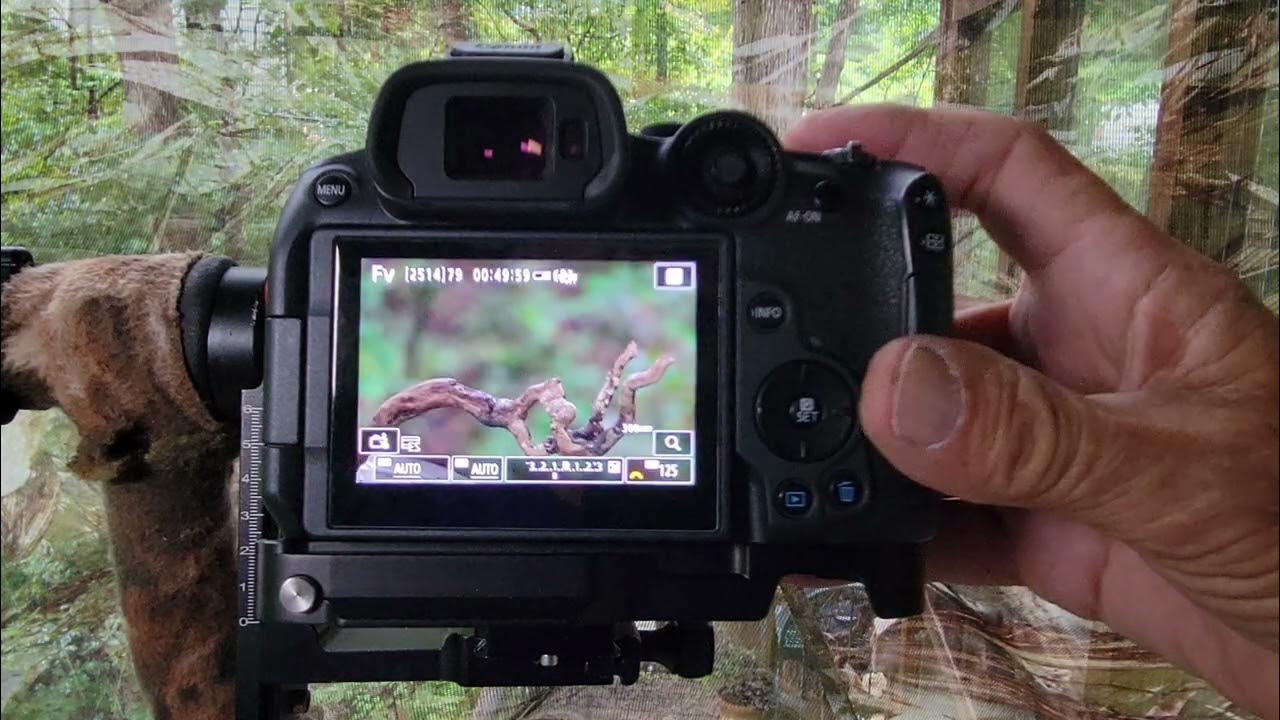 Fv mode on the Canon R7 for quick and easy settings changes YouTube