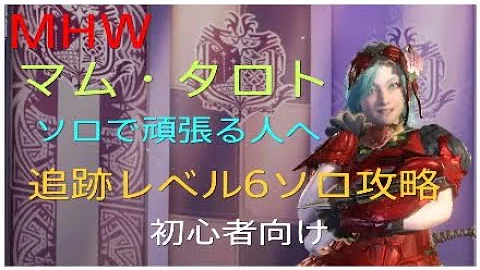マムタロト ソロ 追跡レベル