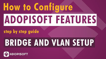 How to setup VLAN and Bridge Mode in AdoPiSoft System | ADOPISOFT