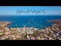 GALAPAGOS - San Cristóbal, ECUADOR, Fishmarket.