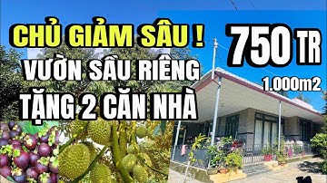 Anh Tấn bán tháo, vườn đủ loại trái cây, gần đường dẫn cao tốc phan thiết, cẩm mỹ đồng Nai