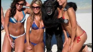 Comedy Video #10. Лучшие приколы / The best jokes Comedy Video #10. Лучшие приколы / The best jokes