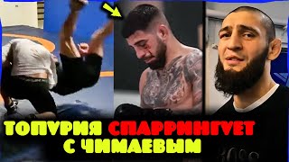 картинка: СРОЧНО! Хамзат Чимаев спаррингует с Илией Топурией — утечка, дикие реакции! Перейра