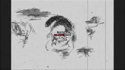 DUBHANS BIRDS NESTS (PMV)