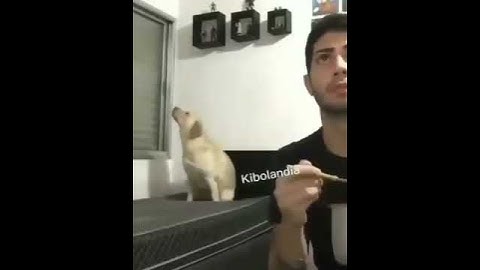 Thumbnail of Dancing Dog