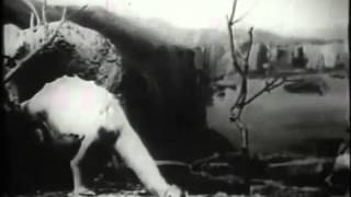 Prehistoric Poultry