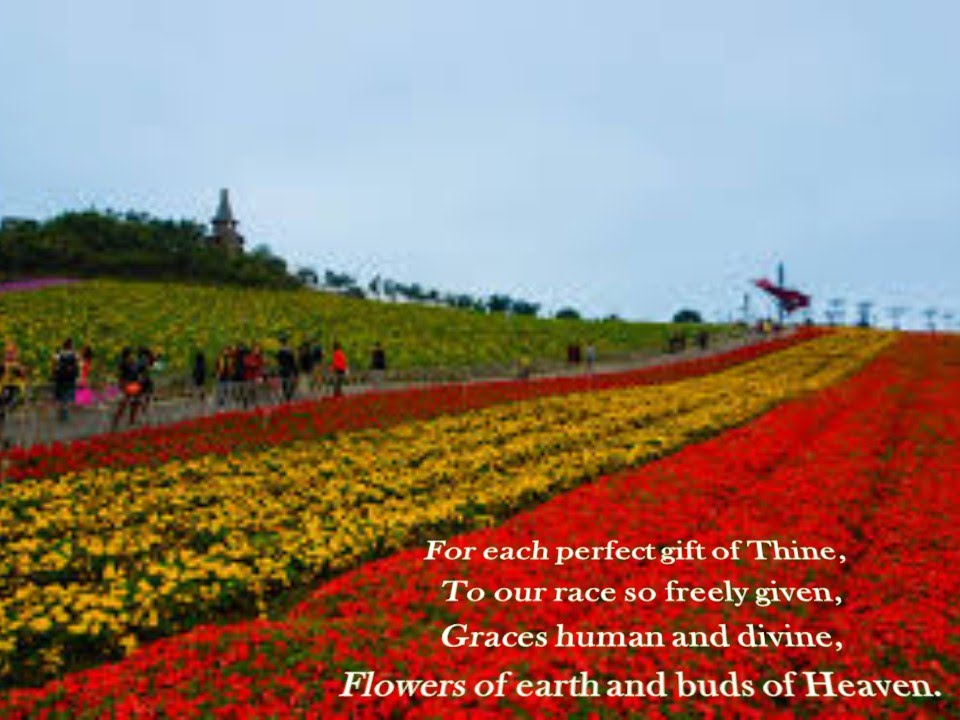 For the Beauty of the Earth with lyrics YouTube