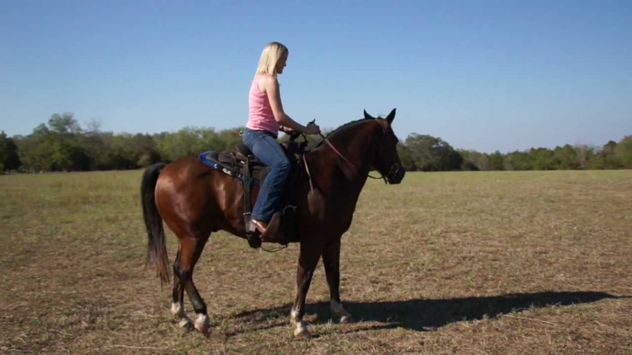 Femdom literature onlymelanie riding giant pussy