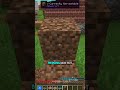 The secret mod for Bedrock bridging in Minecraft Java