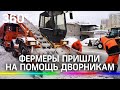 Фермеры пришли на помощь дворникам: как убирают снег в Подмосковье?