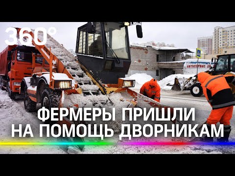 Фермеры пришли на помощь дворникам: как убирают снег в Подмосковье?