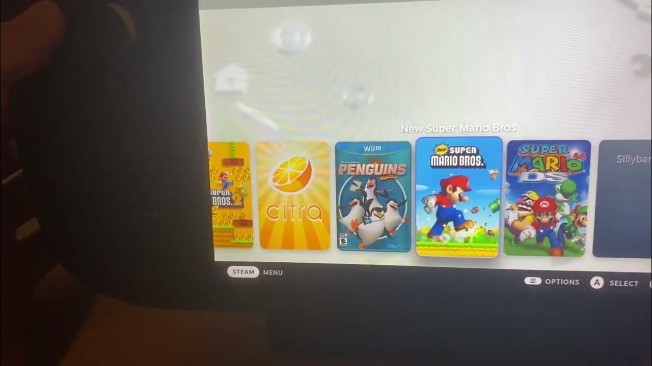 Wii U Theme For Steam Deck! YouTube