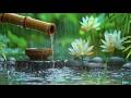 Rainy Bamboo Fountain 🎋🌧️ Relaxing Piano Music for Deep Sleep | Stress Relief &amp; Meditation