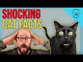 7 shocking cat facts