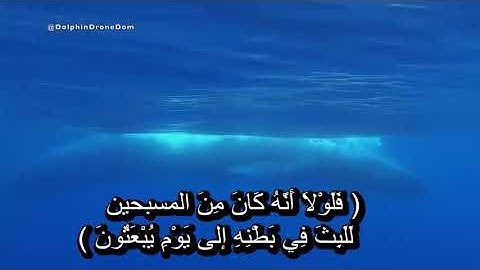 سورة الصافات الآية (143، 144)