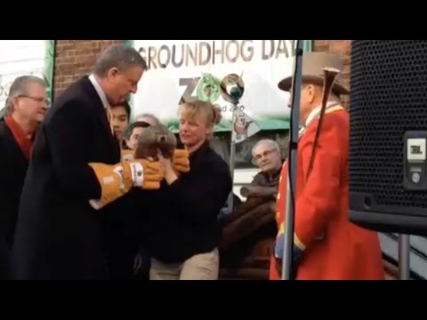 Groundhog Dropped By Mayor Later Dies