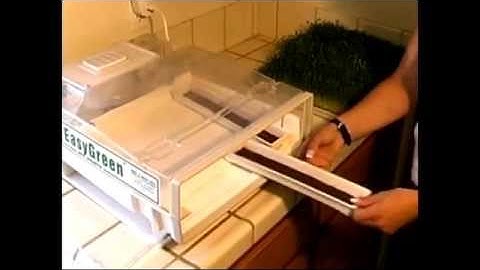 Grow fresh, crispy sprouts year round!