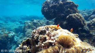 Green Island 20150920-4