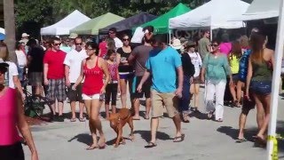 People Just Want To Be Here ... On Florida's Space Coast