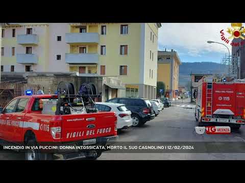INCENDIO IN VIA PUCCINI: DONNA INTOSSICATA, MORTO IL SUO CAGNOLINO | 12/02/2024