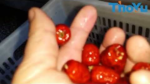 red jujube pitting machine