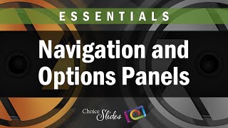 Famous Essentials Guide to the Navigation and Options Panels in Photopia Wealth