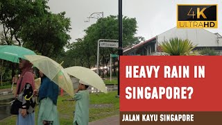 Rainy Day Walk in Jalan Kayu, Singapore | Soothing Rain ASMR Experience  [4K Ultra HD/60fps]
