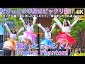 横動画②【4K/60p】ぽけっとファントム（Japanese idol group Pocket Phantom）「あまいもんずフェス」niigo広場 2026年9月12日（土）
