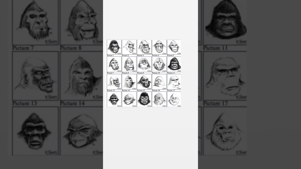 Which Bigfoot have you seen? #shorts