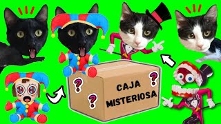 Abro la caja misteriosa de Amazing Digital Circus y construyo circo digital de gatos Luna y Estrella