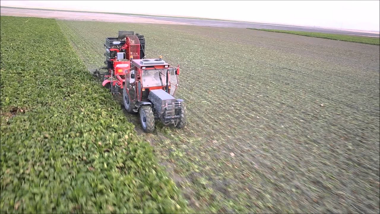 torunoglu pancar makinası