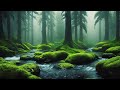 Sleepy Forest Rain & Piano: 4K Ambient Nature Sounds for Deep Sleep & Relaxation