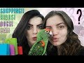 OMG! WE FELL IN LOVE WITH A JARDINE'S PARROT! CHRISTMAS SHOPPING FOR OUR BIRDS! | PET TOY HAUL!