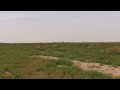 ربيع منطقة القصيم عام 1444 شيلة سفر الدغيلبي انا دخيلك