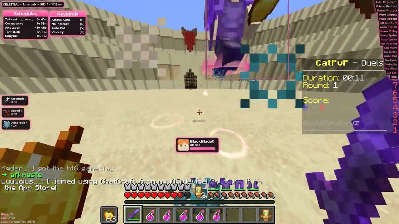 Celestial recode on catpvp.