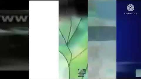 160! Shuric Scans With Ar slide