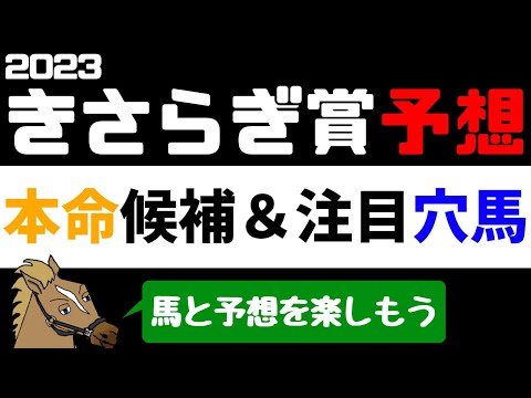 【きさらぎ賞2023 予想】注目馬紹介 本命候補と注目穴馬【バーチャルサラブレッド・リュウタロウ/競馬Vtuber】