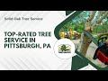 Solid Oak Tree Service | Trusted Tree Experts in Pittsburgh, PA