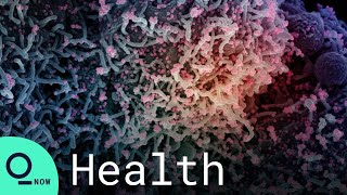 T Cells Triggered by Common Cold Fend Off Covid in Study