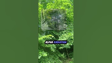 The Most Harmful Radiation☢  #education #facts #shorts