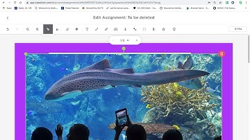 Staff Classkick demo