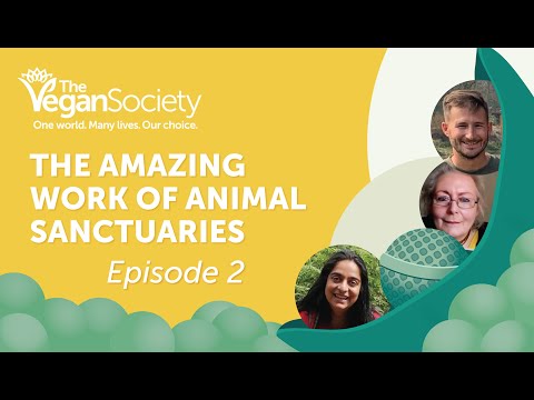 The Vegan Pod Episode 2: The amazing work of animal sanctuaries