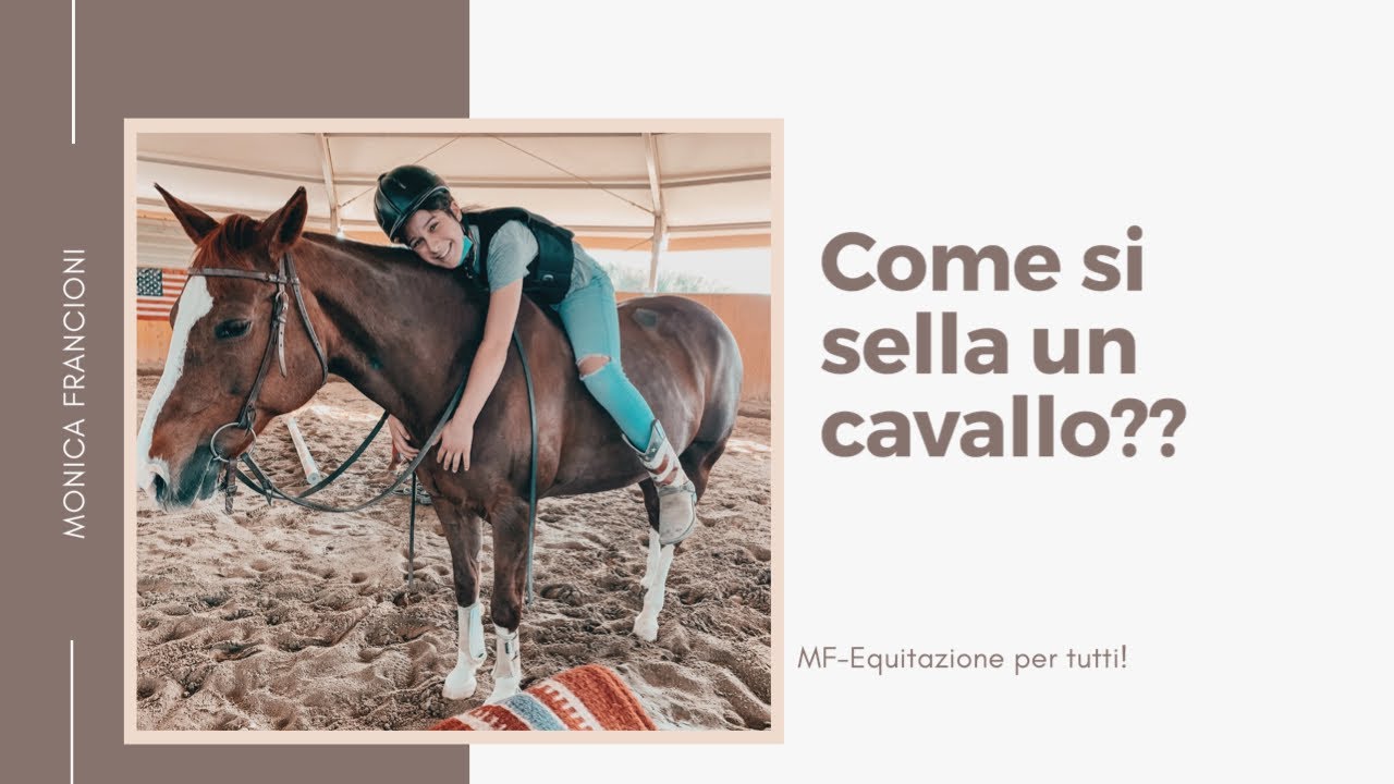 Come Sellare Un Cavallo Per La Prima Volta