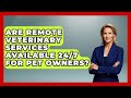 Are Remote Veterinary Services Available 24/7 for Pet Owners? | TeleVet Talk News